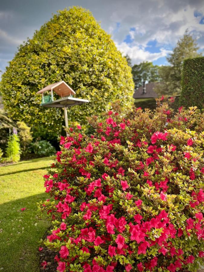3-Bedroom Bungalow, Central Ambleside With Parking מראה חיצוני תמונה